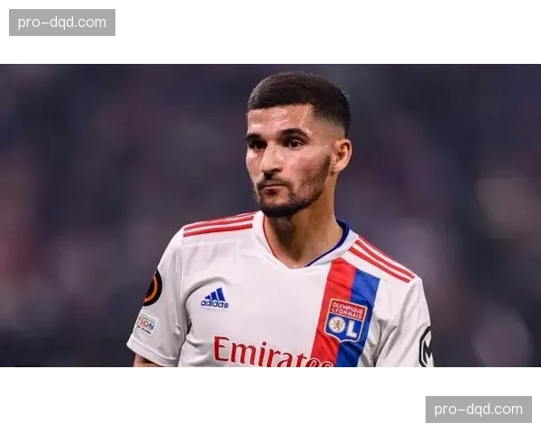 多家媒体确认，里昂美国资本所有者计划在夏季进行大规模投资